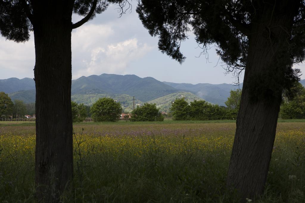 Agriturismo La Topaia Borgo San Lorenzo Exterior photo