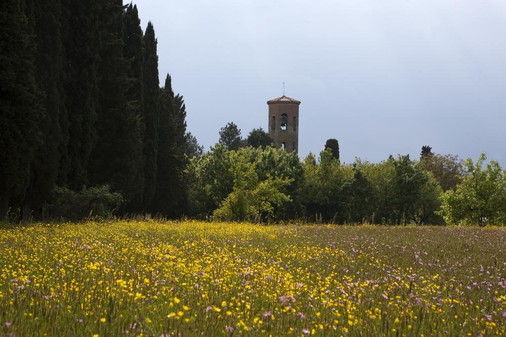 Agriturismo La Topaia Borgo San Lorenzo Exterior photo