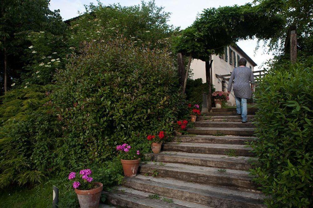 Agriturismo La Topaia Borgo San Lorenzo Exterior photo